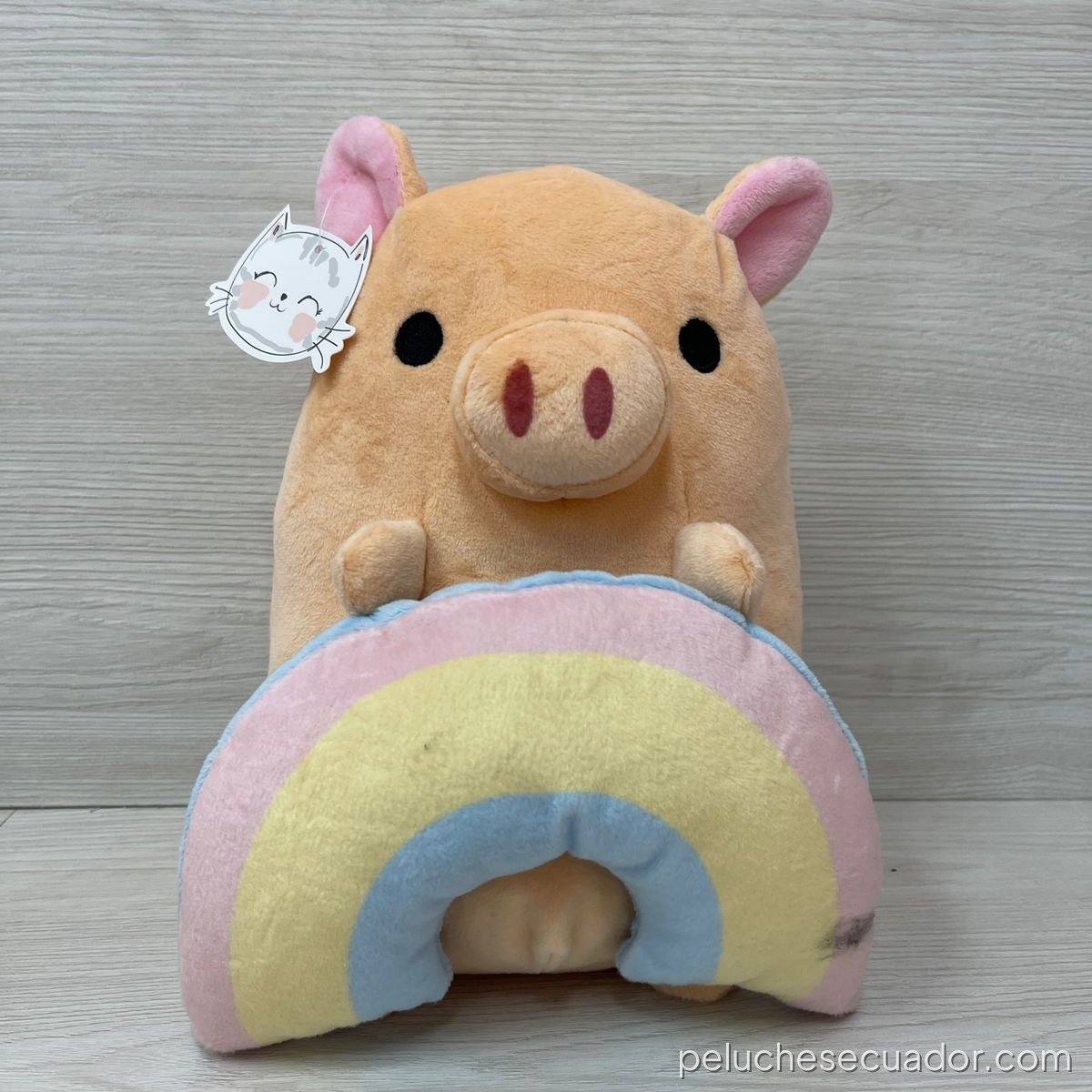 PELUCHE CERDITO ARCOIRIS 25CM MH-3576